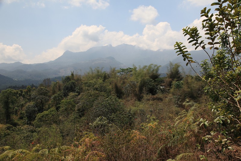 Kerala hills