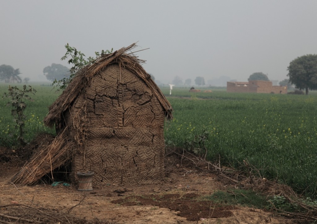 House built of cow shit | Photo