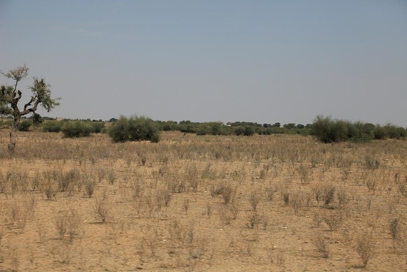 The nothingness of the Thar desert