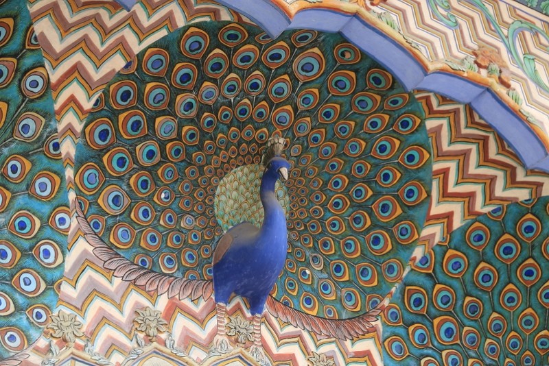 Peacock at Jaipur City Palace