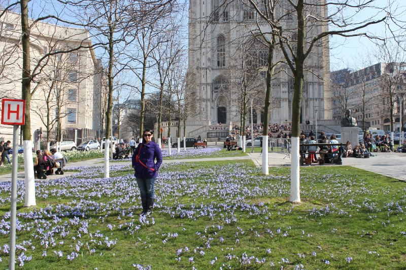 Start of spring in front of Brussels Cathedral