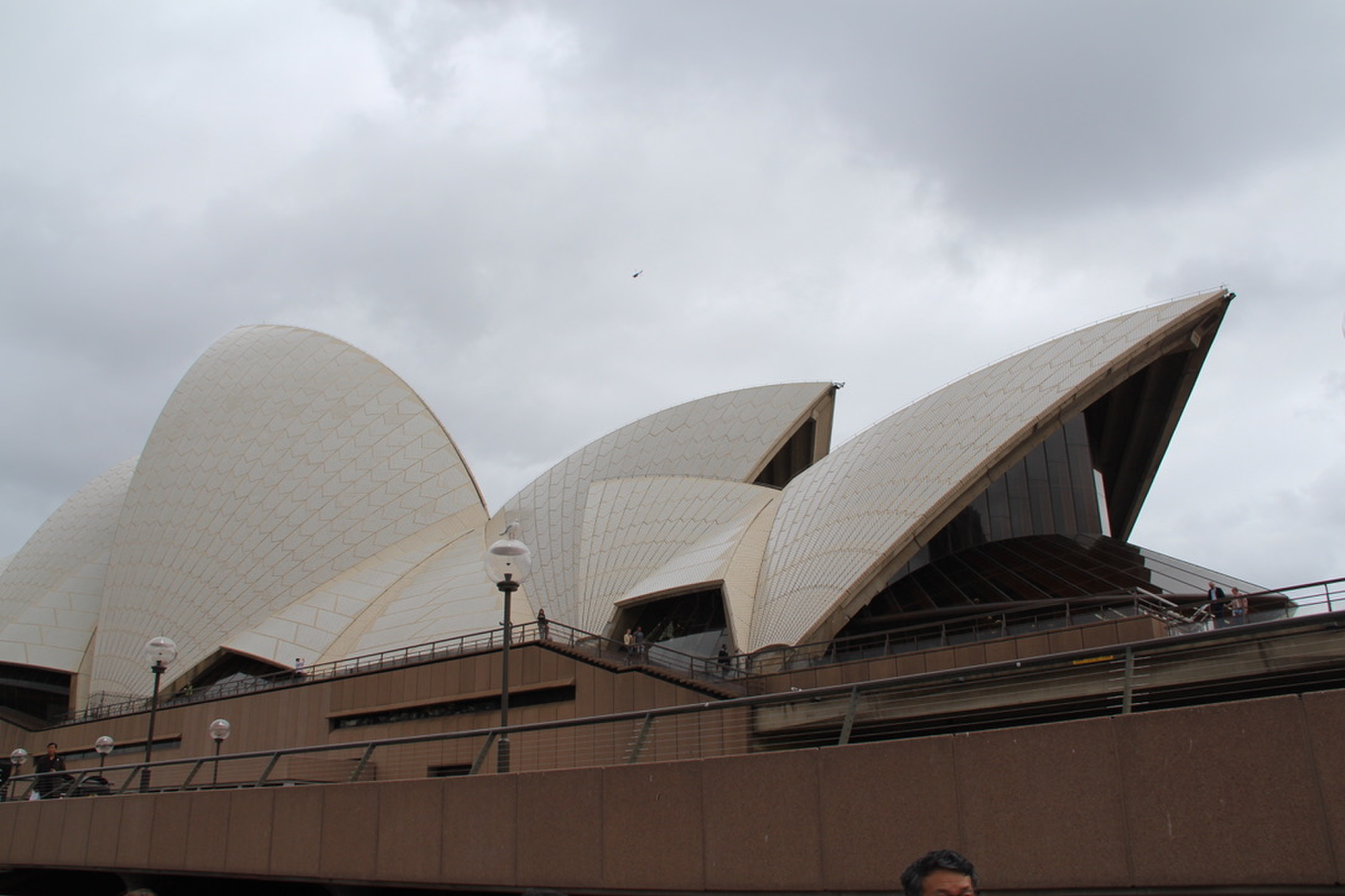 Sydney 2 Photo