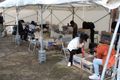 Shurijo Castle volunteers helping with restoration