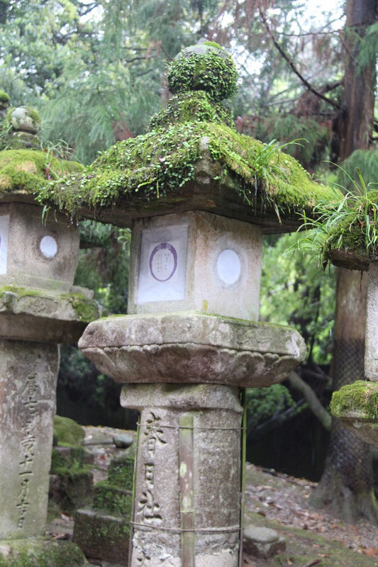 Kasuga-taisha Shrine - donation monuments.