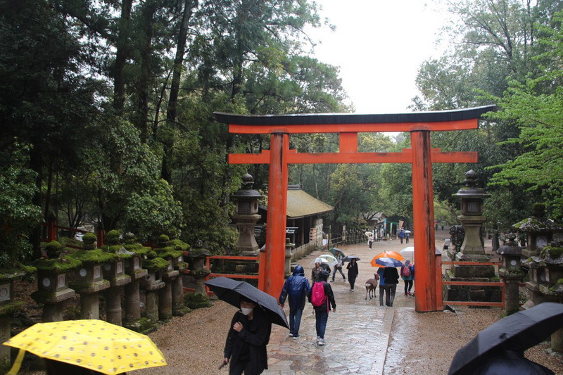 Kasuga-taisha Shrine - entrance gate.