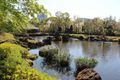 Sumpu Castle - garden pond.
