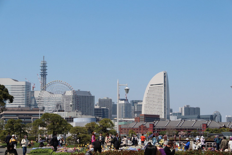 Yokohama - skyline from park.