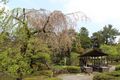 Kenrokuen Gardens - place for meditation.