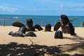 Statue of turtle hatchlings