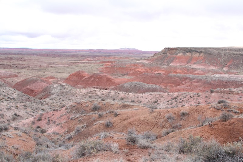 Part of the Painted Desert