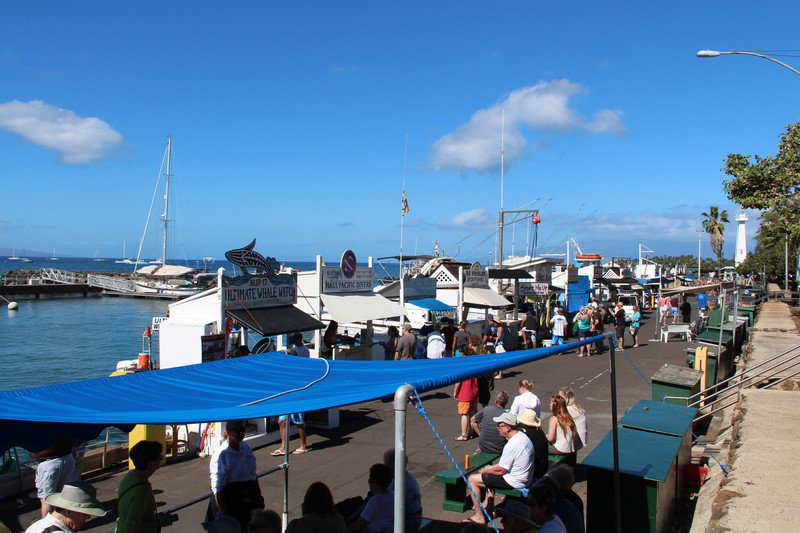 Stalls along water front