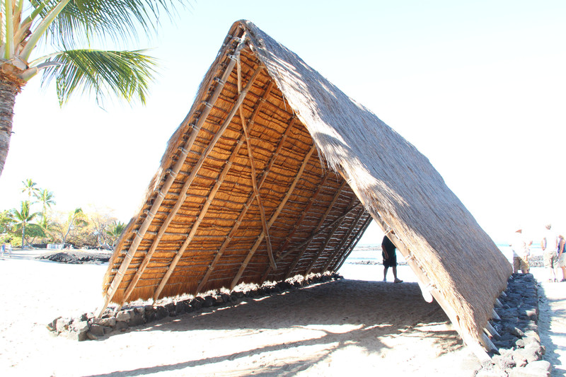 Beach shelter for canoe carvers