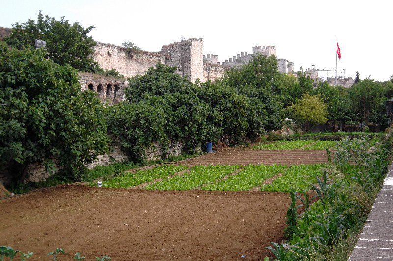 Market gardening along the land walls