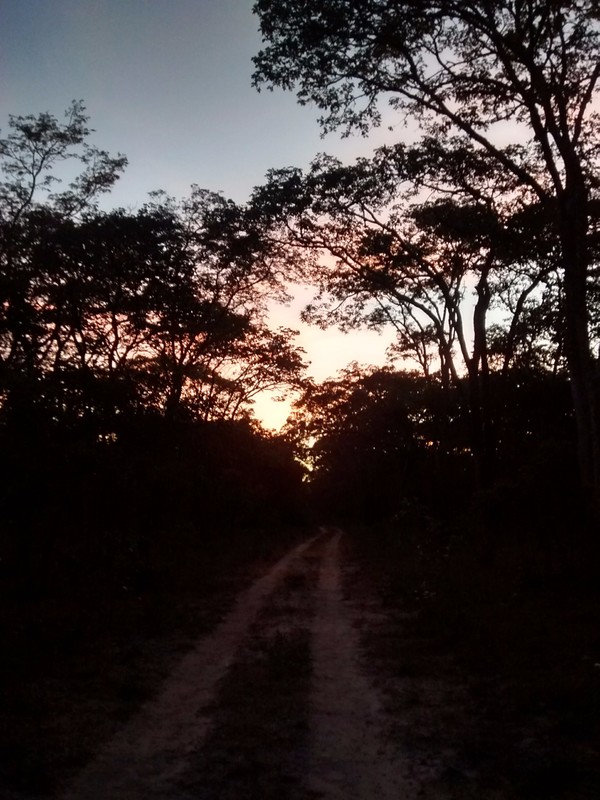 Sun set over Mkushi woodland