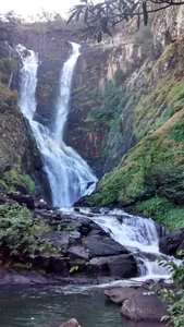 The lovely Kundalila Falls