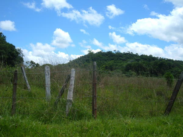 The Paraguayan Countryside