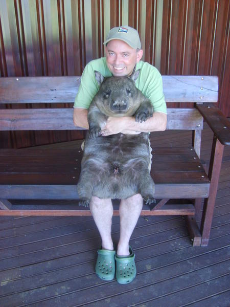 Wow What a Wombat