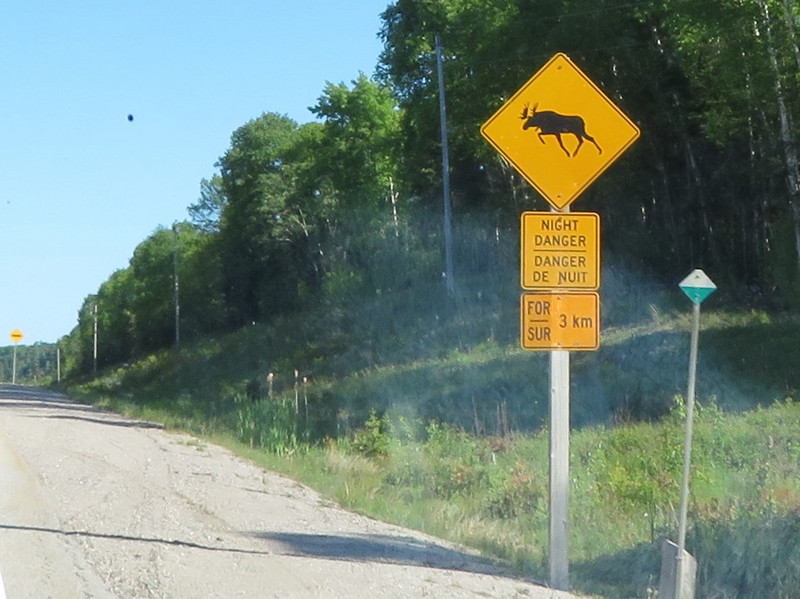 Moose Warning