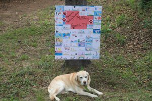 Maggie at the Sign Forest Maggie at the Sign Forest
