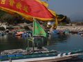 Dragon Boats on Cheung Chau