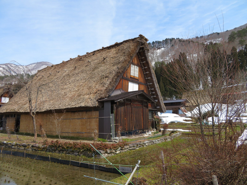 Thatched roof house in Shirakawa-go