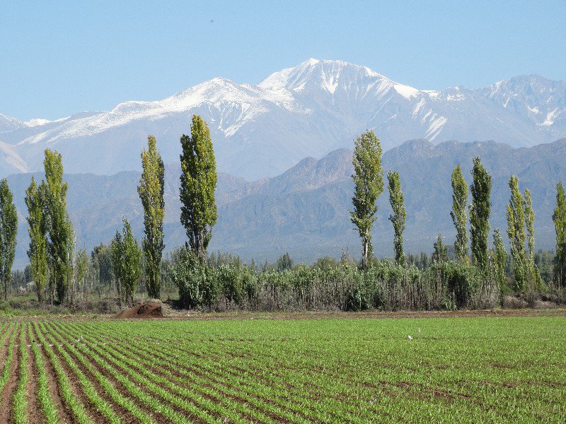 View Across the fields to the Mountains