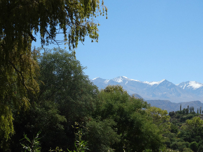 View West from Cochi with the Andes in the Background