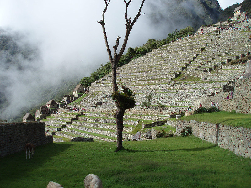 Day 5 - view across Machu Picchu Terraces