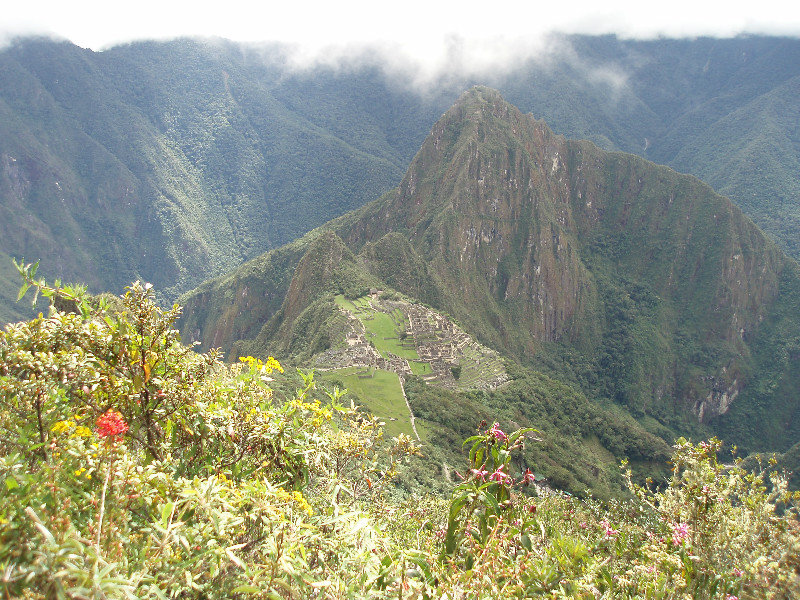 Day 5 - Machu Picchu site from partway up Cerro Machu Picchu
