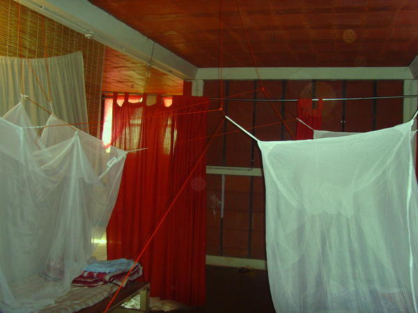 Our mosquito nets!