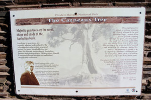 Info regarding the Cazneaux Tree