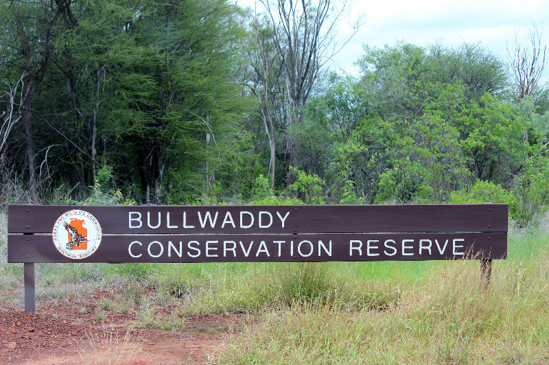 Bullwaddy