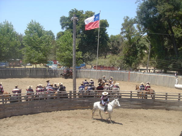 The rodeo...