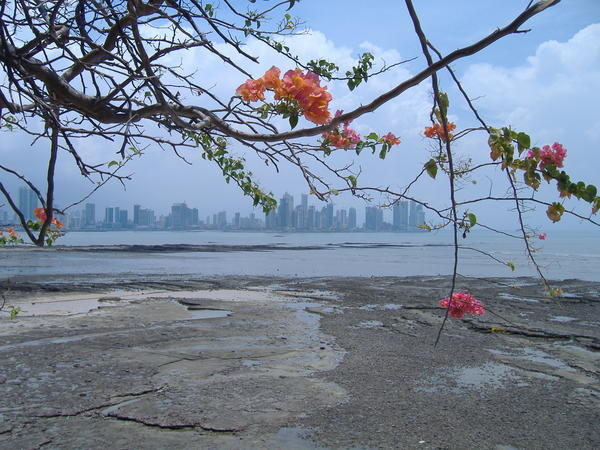 Big, Ugly, Modern, Panama City