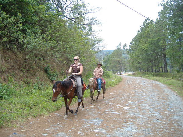 The horse that wouldn't..in Boquete