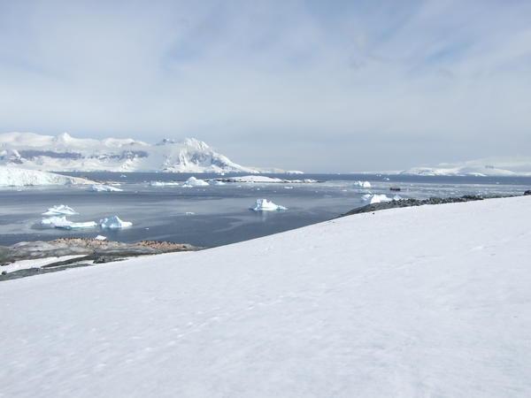 Antarctica.