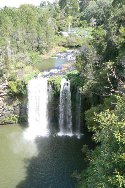 Dangar Falls in Dorrigo