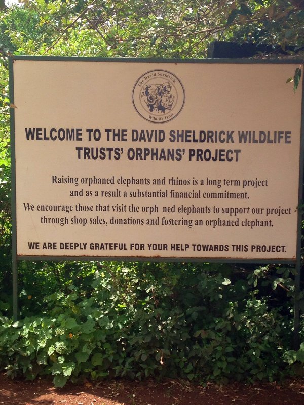 Elephant orphanage trust