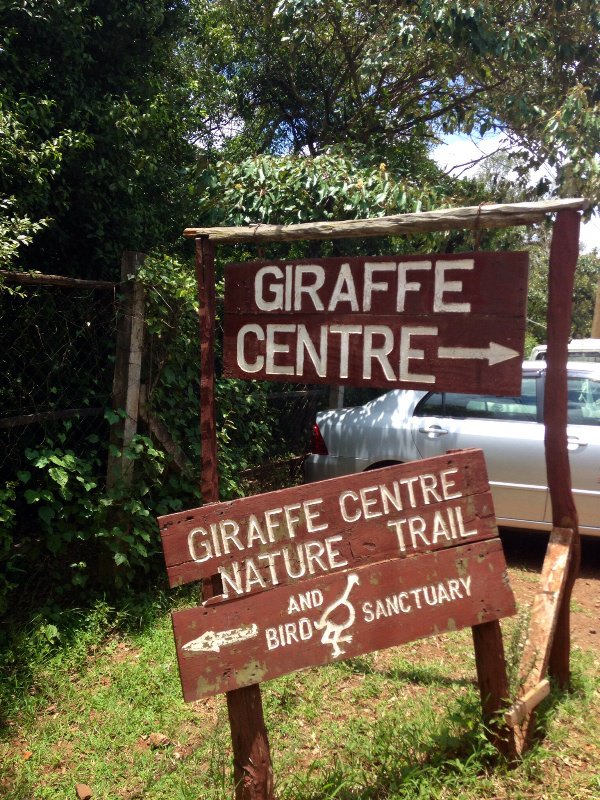 Giraffe sanctuary 
