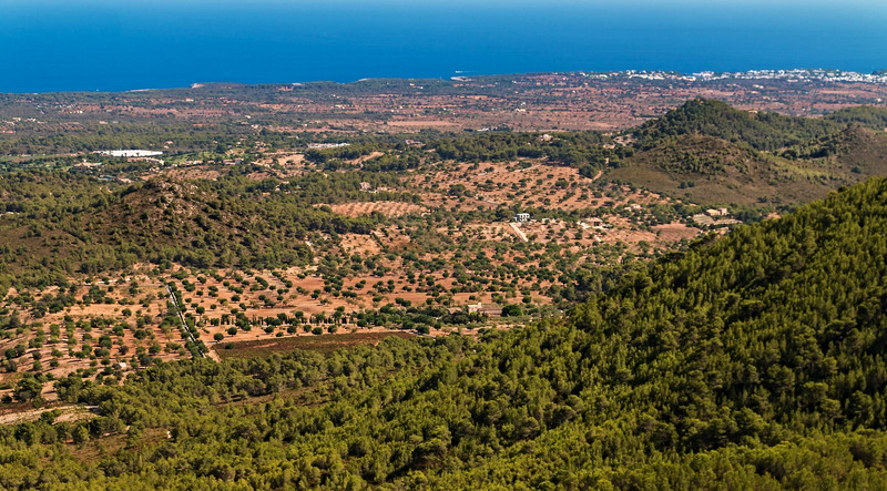 Mallorca-Landschaft