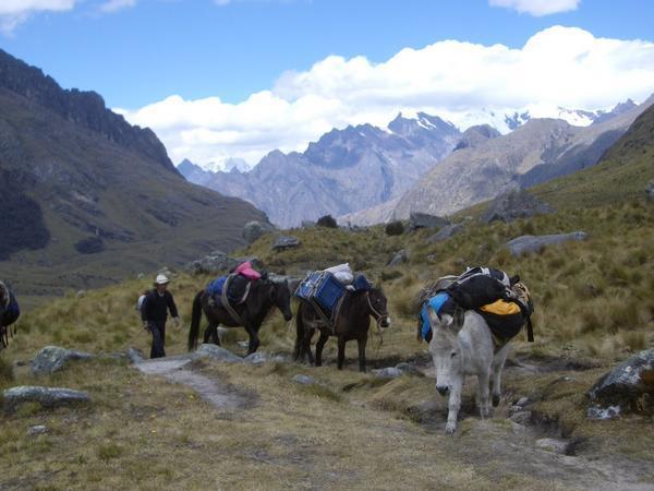 The donkeys passing us on the trail