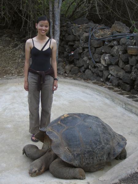 Doesn´t the tortoise look happy?