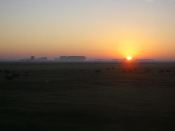Sunrise over the Pampa