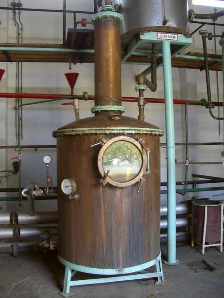 Distilling pisco