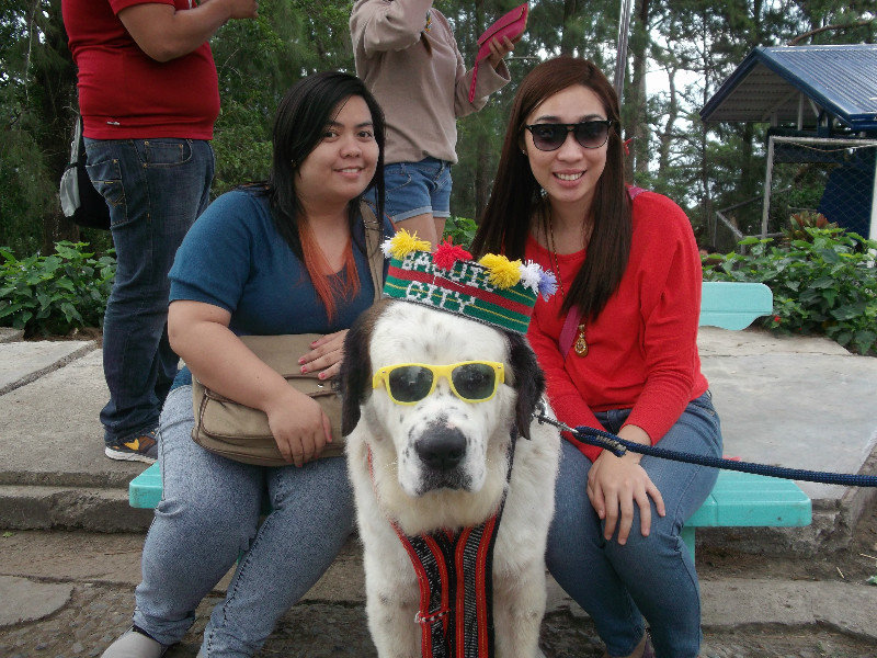 with the famous baguio dog