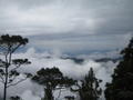 view from highest peak in honduras