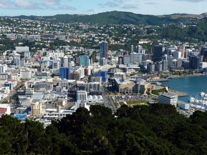 View Of Wellington