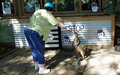 Janet petting a small Kangaroo