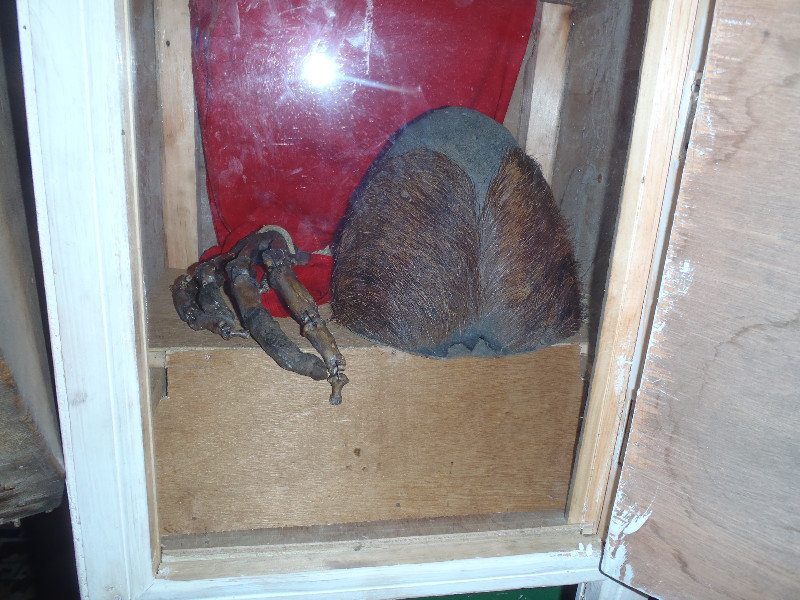Apparently a real skull and hand from a Yeti as seen in a Buddhist monestary (so you know its real) in upper Pangboche