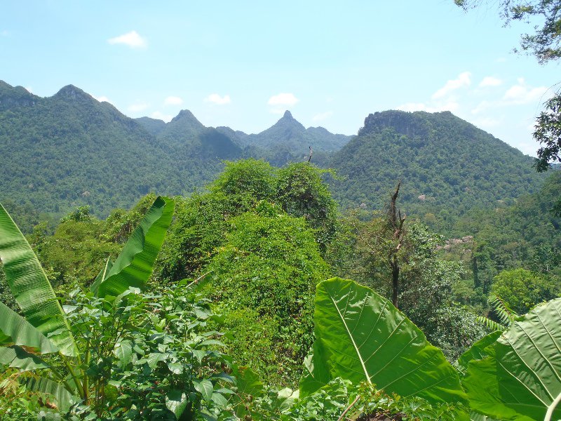 Jungle of Phong Nha-Ke Bang National Park, home of the largest cave in the world